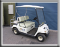 Yamaha G16