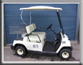 Yamaha G16