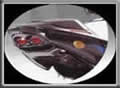 Tail Guard