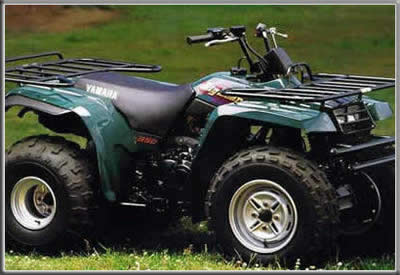 Quad Bike for Hire