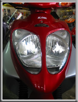 Shark Headlight
