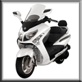 Firenze 300i