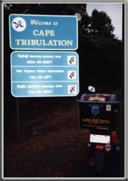 Cape Tribulation, Queensland